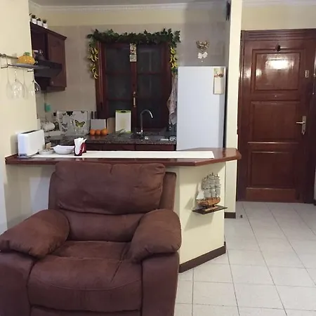 Magnific Americas View Apartment